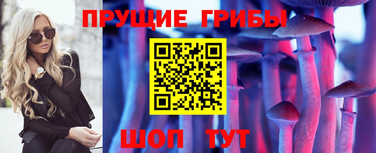 Галлюциногенные грибы Psilocybine cubensis Узловая